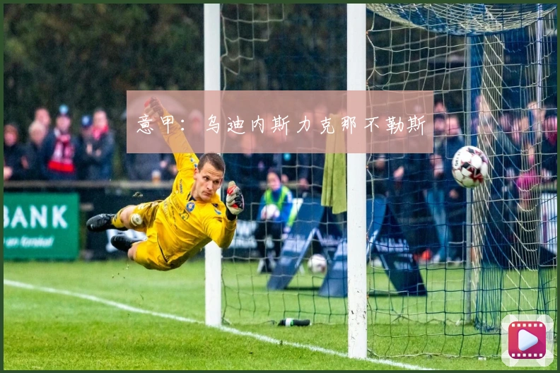 意甲：乌迪内斯力克那不勒斯