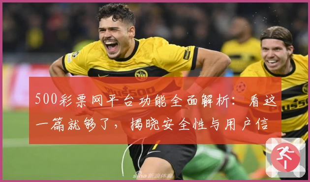 500彩票网平台功能全面解析：看这一篇就够了，揭晓安全性与用户信赖背后的秘密